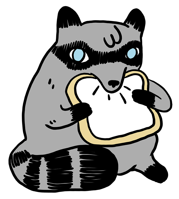 Raccoon Eating Sliced Bread